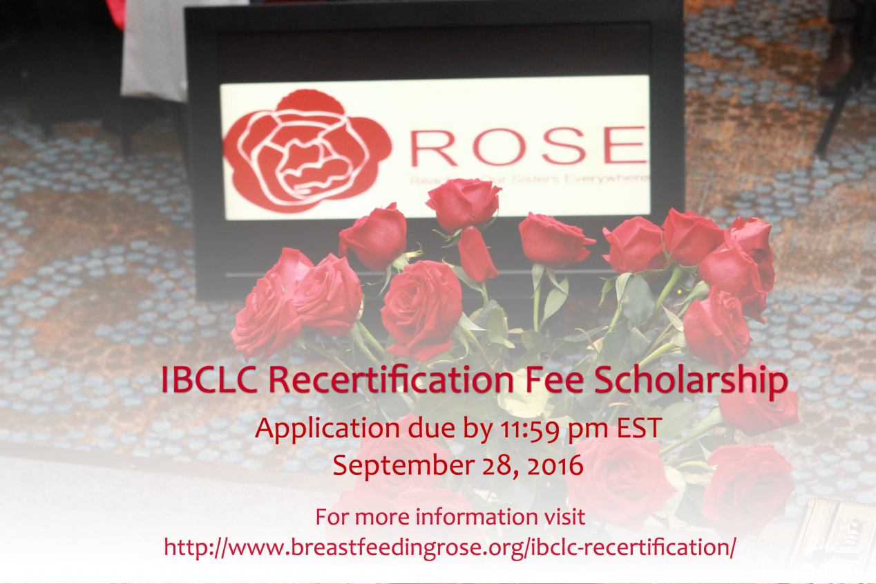 ibclc-scholarship